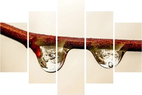 Vízcseppek a faágon képe (150x105 cm)