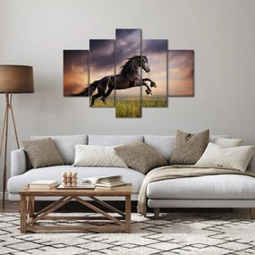 Kép - Lovak (150x105 cm)