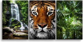 Képek a nappaliba Vízesés Tigris Dzsungel Hálószoba képek 90x180