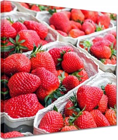 Festmények 30x30 Konyhai képek Forradalmak