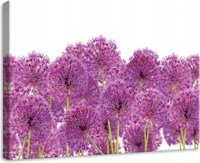Vászonkép 70x50 Virágok hagyma dísz tavasz lila zöld frissesség természet
