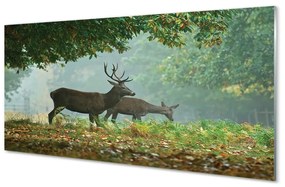 Üvegképek Deer őszi erdő 100x50 cm 2 fogas