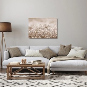 Üveg kép - rét barna árnyalatokban (70x50 cm)