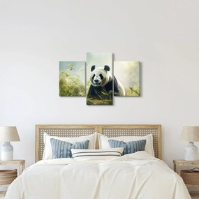 Kép - Panda (90x60 cm)