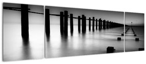 Modern képek - táj (170x50cm)