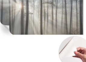 Modern öntapadós fotótapéta falra Illóer erdő 250x104 cm