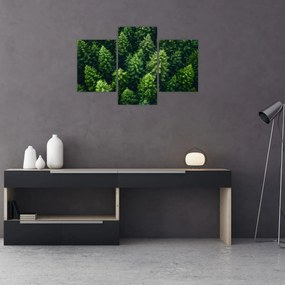 Kép - Forest (90x60 cm)