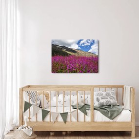Hegyi rét tája (70x50 cm)