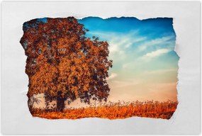 Poszterek 60x40 Őszi színek Tájkép