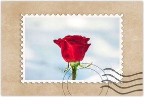 Poszterek 120x80 Rózsa Virág Virágok Rózsa