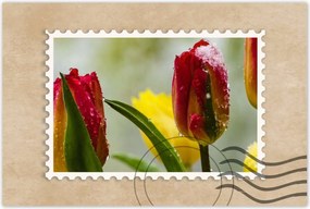 Poszterek 90x60 Tulipánok Virágok