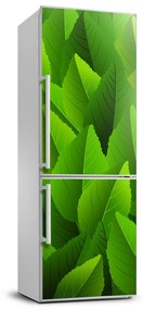 Dekor matrica hűtőre Zöld levelek FridgeStick-70x190-f-90288454