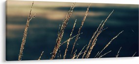A füvek képe (120x50 cm)