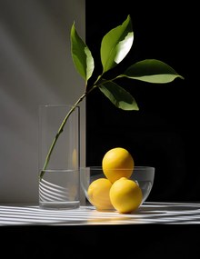 Poszter 50x65cm Citrusos elrendezés