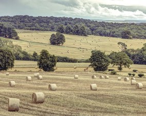 Poszter 76x60,5cm Szénakazalok a mezőkön 2, Assaf Frank