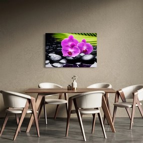 Kép - Orchideák (90x60 cm)
