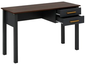 Íróasztal 50x120 cm Marion - Støraa