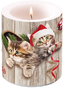 Kíváncsi cicák karácsonyi átvilágítós viasz gyertya közepes