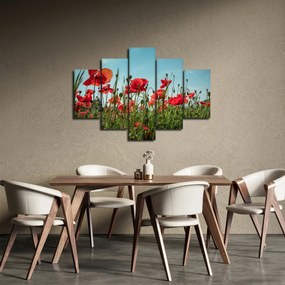 Kép - Pipacsos mező (150x105 cm)