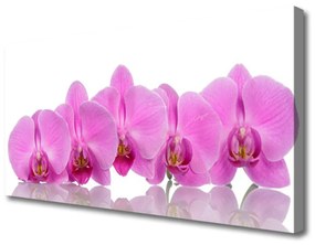 Vászonfotó Rózsaszín orchidea virágok 100x50 cm