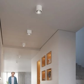 Sollux SL.0841 - KALU spotlámpa 1xGU10/ES111/40W/230V