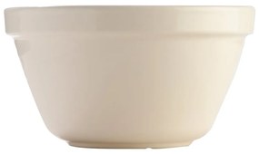 Basin fehér agyagkerámia tál, ⌀ 22 cm - Mason Cash