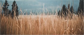 Kép - réti növényzet részlete (120x50 cm)