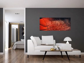 Kép - Kosárlabda labda (120x50 cm)