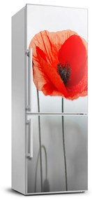 Matrica hűtőre Vadvirágok pipacsok FridgeStick-70x190-f-142912559
