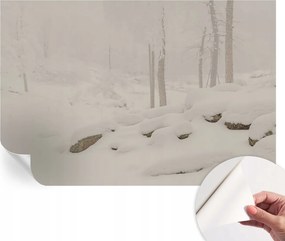 Öntapadós fotótapéta Nappaliba és Hálószobába Hóerdő 104x70 cm