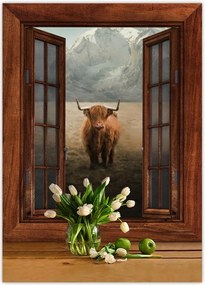 Poszterek 50x70 Skót tehén szarvasmarha