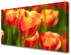 Canvas kép Tulipán virágok Plant 100x50 cm