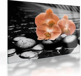 Üveg kép - Narancssárga orchideák (70x50 cm)
