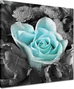 Vászonkép 50x50 Türkiz rózsa