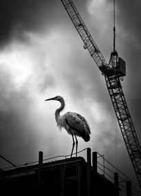 Poszter 39,5x55cm Magasan a horizont felett