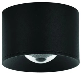 ZAMBELIS-S131 Fekete Színű Kültéri Mennyezeti Lámpa LED 12W IP54
