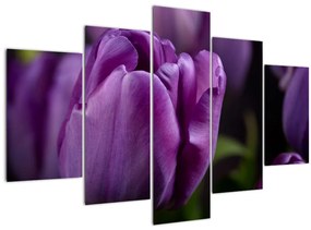 Tulipán vírág képe (150x105 cm)