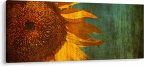 Kép - napraforgó (120x50 cm)