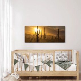 Kép - Saguaro kaktuszok (120x50 cm)