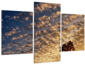 Kép - Pálmafák a felhők között (90x60 cm)