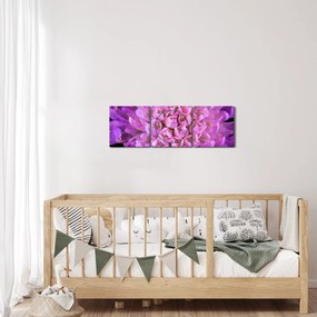 Részletes virágkép (órával) (90x30 cm)