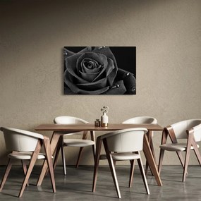 Kép - Bíborvörös rózsa (90x60 cm)