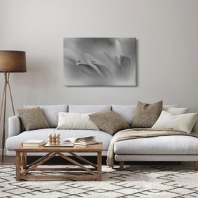 Kép - Csepp a virágon, fekete-fehér (90x60 cm)