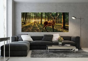 Fotótapéta Reggel az erdőben Szarvas a nap sugaraiban 250x104 +ragasztó