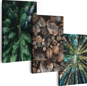 Vászonkép 180 cm **sok minta** Nappali Falikép Erdő