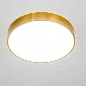 BRILAGI - LED Fürdőszobai mennyezeti lámpatest POOL LED/36W/230V átm. 40 cm IP54 arany