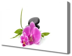 Vászonfotó Stones virág növény 140x70 cm