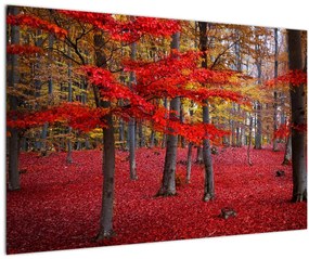 Kép - vörös erdő (90x60 cm)