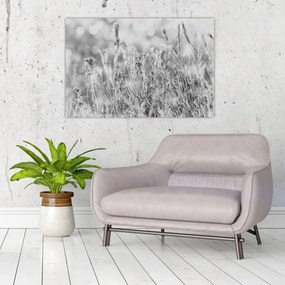 Kép - Hideg tél (90x60 cm)