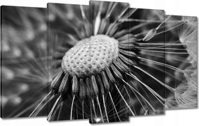 Vászonkép 100x60 Pitypang Virág Virágok